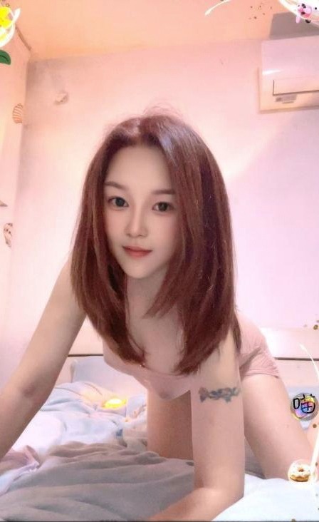江苏 苏州 服务系小布丁